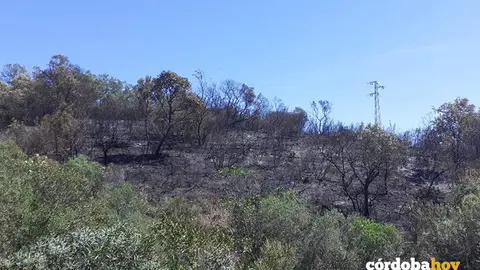 Fuego en la finca La Alhondiguilla de la Sierra cordobesa FOTO INFOCA