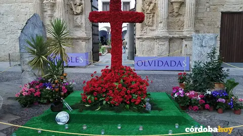 Cruz de Mayo de la Asociaci&oacute;n Vecinal de La Medina