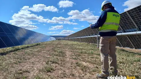 Magtel construye un parque fotovoltaico en Zaragoza para OPDEnergy