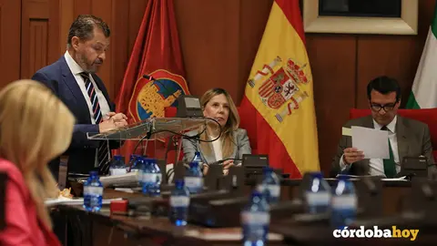 David Dorado, en el debate del estado de la ciudad FOTO RAFA MELLADO SENIOR