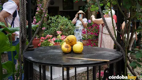 Patio de la calle Parras