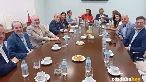 CECO-PSOE