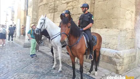 Polic&iacute;a Local a caballo en la Mezquita