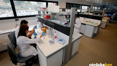 Investigaci&oacute;n en la UCO