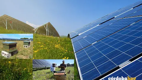 El entorno industrial de Pe&ntilde;arroya-Pueblonuevo ver&aacute; recuperada su econom&iacute;a tras el fin de la miner&iacute;a gracias a las energ&iacute;as renovables