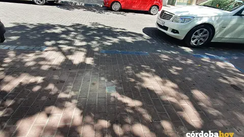 Sensor (el cuadrado p&aacute;lido del centro) ya colocado en la Plaza de Col&oacute;n