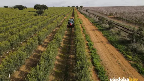 Uno de los proyectos de la empresa cordobesa Balam Agriculture