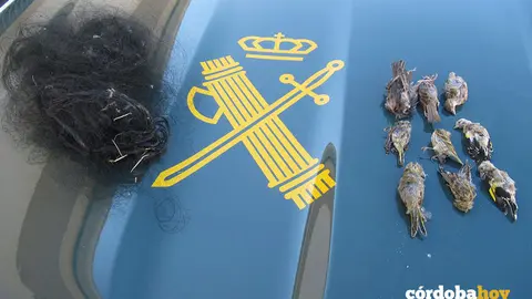 Material incautado por la Guardia Civil