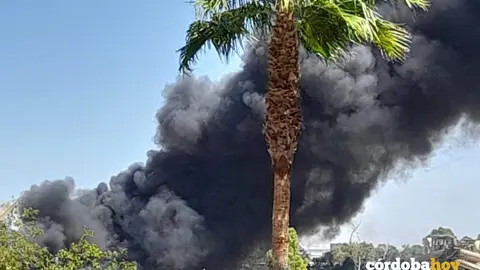 Columna de humo por el incendio en la antigua f&aacute;brica de Calmante Vitaminado en Chinales