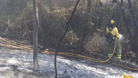 Personal del Infoca trabajando en el incendio de Hornachuelos FOTO INFOCA