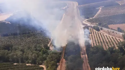 Zona del incendio en Hornachuelos FOTO INFOCA