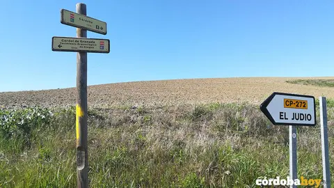 Camino Moz&aacute;rabe de Santiago a su paso por Ategua FOTO AJURADOPOZA (WIKILOC)