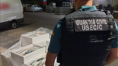 Un agente de la Guardia Civil con el pescado intervenido
