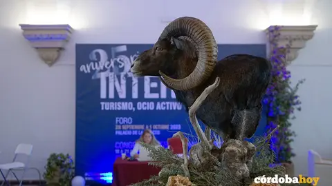Intercaza 2023 en el Palacio de La Merced