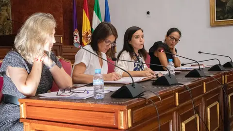 Reuni&oacute;n del consejo rector el Instituto Provincial de Bienestar Social