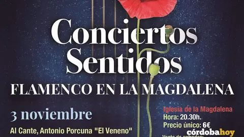 Conciertos sentidos