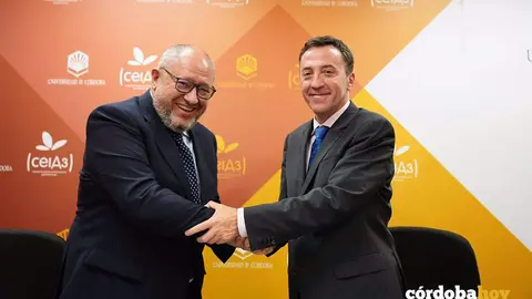El rector de la UCO, Manuel Torralbo, y el presidente de Navantia, Ricargo Dom&iacute;nguez, se dan la mano tras la firma del acuerdo