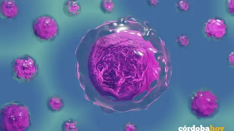 Biolog&iacute;a celular