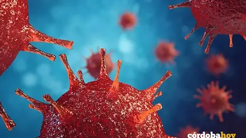 Virus del VIH (Sida)