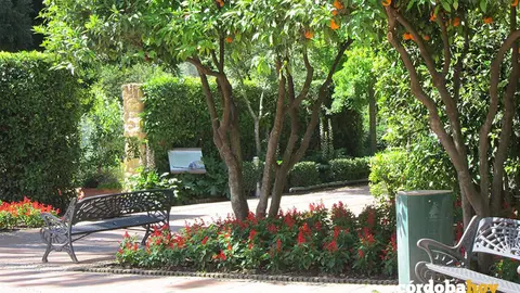 Vista interna del Jard&iacute;n Bot&aacute;nico en una imagen de archivo