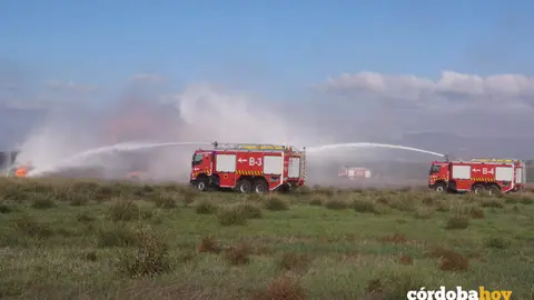 Los bomberos act&uacute;an en el lugar donde supuestamente se ha estrellado el avi&oacute;n