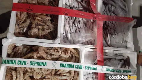 Gampas seprona