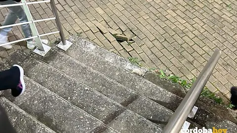 Acceso a la Tribuna de El Arc&aacute;ngel