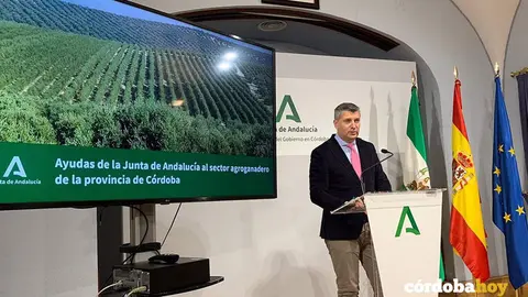 junta de andalucia