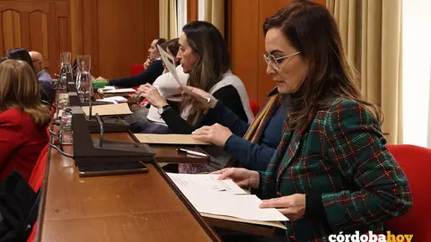 La bancada de Vox en el Pleno FOTO RAFA MELLADO SENIOR