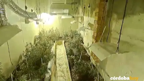 INDOOR