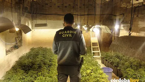 Plantaci&oacute;n de marihuana en un garaje de la barriada de Santa Cruz, en una imagen de archivo