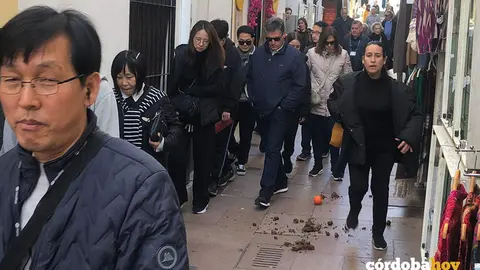 Turistas sorteando un reguero de heces de caballo en el Casco