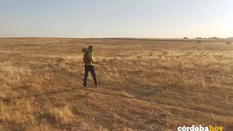 Trabajos de prospecci&oacute;n arqueol&oacute;gica en el trazado previsto de la Variante Noroeste de Pozoblanco