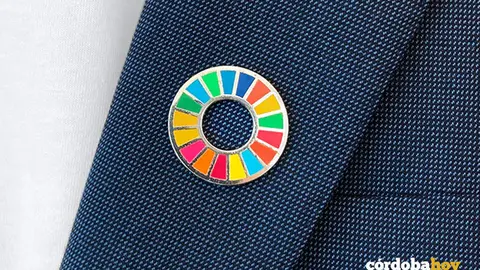 Pin oficial de los Objetivos de Desarrollo Sostenible (ODS)