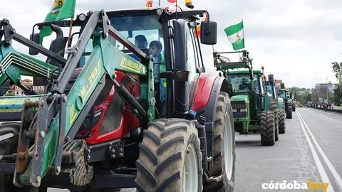 TRACTORADA 032