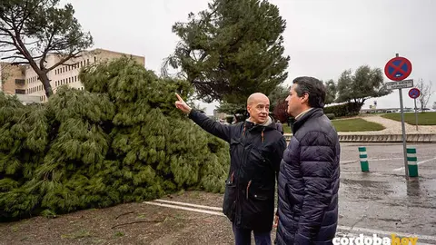 Francisco Trivi&ntilde;o y Jos&eacute; Mar&iacute;a Bellido contemplan los da&ntilde;os del temporal en el Reina Sof&iacute;a