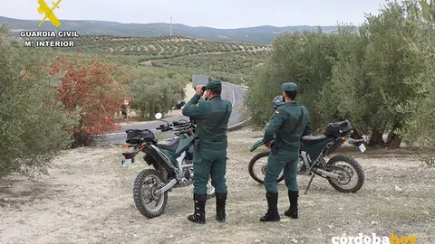 Agentes del Seprona en la provincia de C&oacute;rdoba, en una imagen de archivo