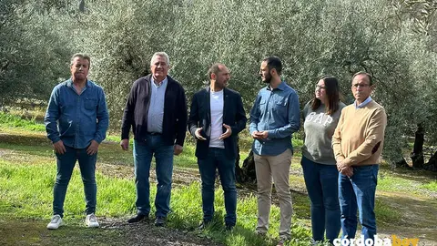 Sebasti&aacute;n P&eacute;rez y Eduardo Garc&iacute;a (centro), en un olivar en Nueva Carteya