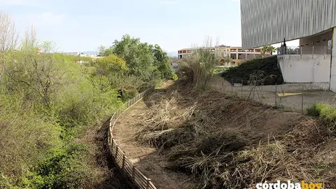 Limpieza en los m&aacute;rgenes del r&iacute;o Lucena