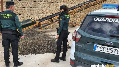 Parte de las aceitunas recuperadas por la Guardia Civil en Espejo