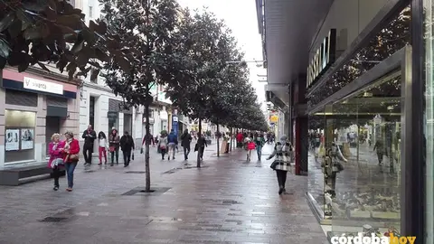 Comercios en el centro de C&oacute;rdoba, en una imagen de archivo
