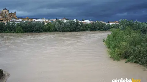 El r&iacute;o Guadalquivir a rebosar de agua