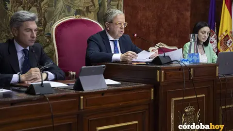 Pleno dipu