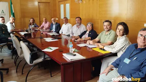 Comision de agresiones