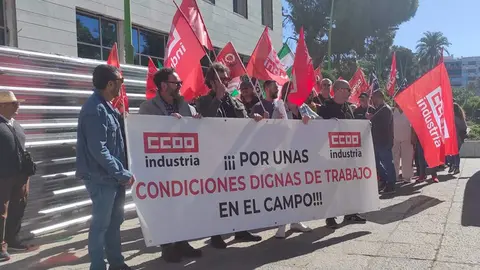 CCOO