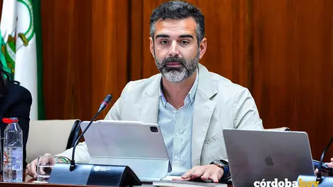El consejero de Sostenibilidad, Medio Ambiente y Econom&iacute;a Azul, Ram&oacute;n Fern&aacute;ndez-Pacheco, durante su comparecencia