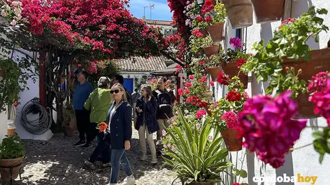 PATIOS 831
