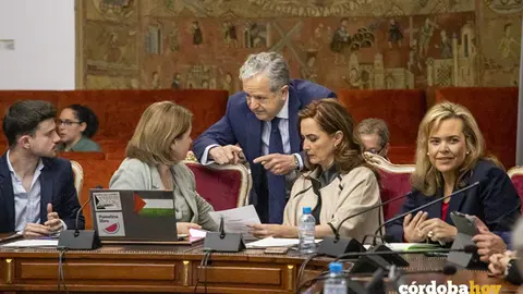 Salvador Fuentes habla con Irene Ruiz (IU) en presencia de Yolanda Almagro (Vox)