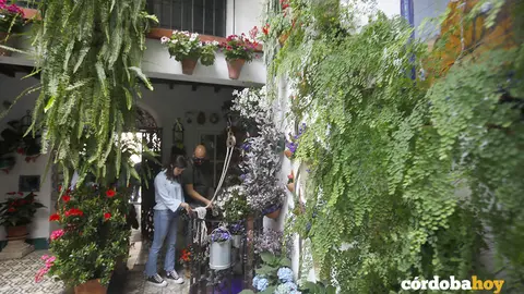 Patios cordobeses en 2024