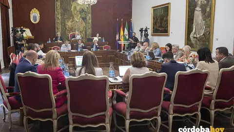 Pleno ordinario de mayo en la Diputaci&oacute;n